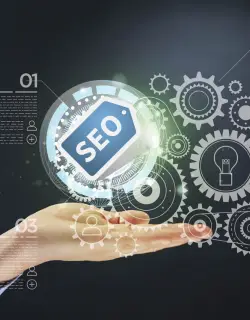seo qatar