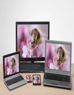 website design