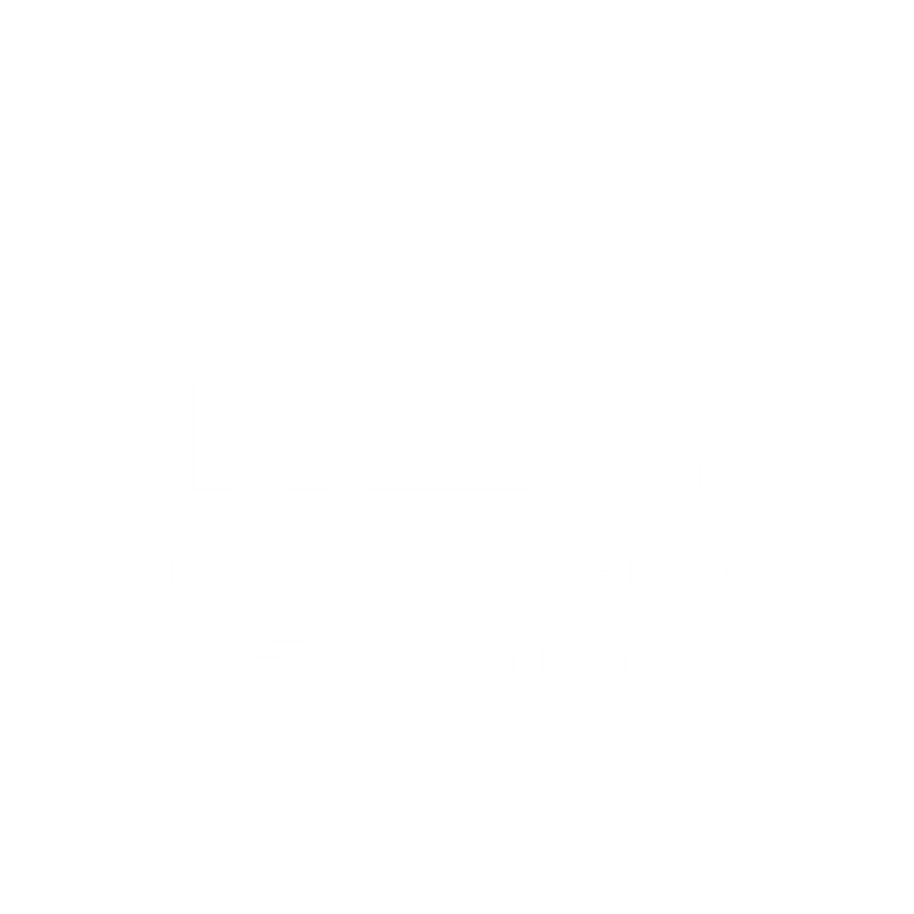 mbs mehar business setup transparent logo